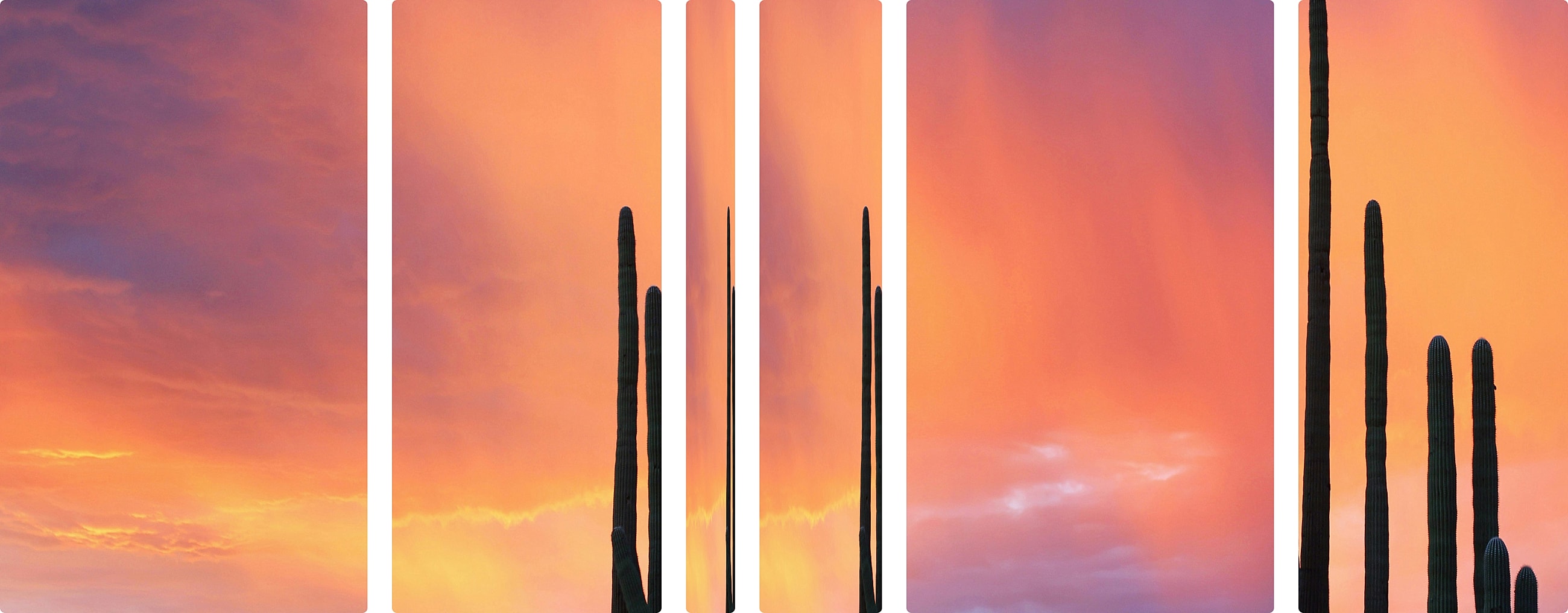 Form Background