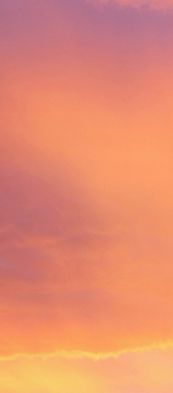 Cactus silhouette against colorful sunset sky.